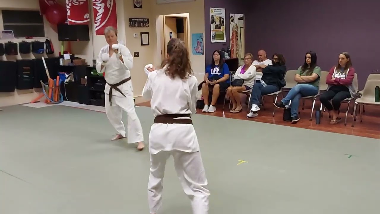 Brown Belt Kumite Part 1