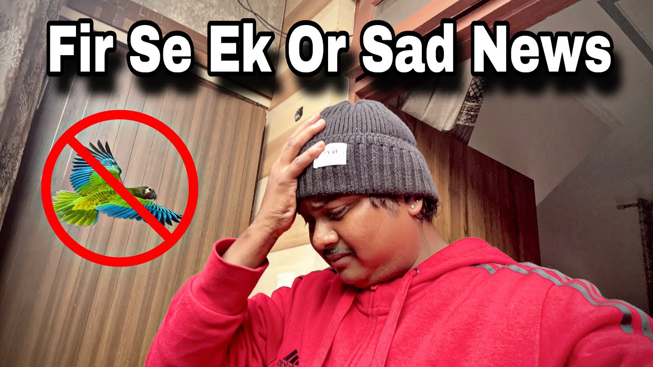 Fir Se Ek Or Sad News || #vlog #birds 