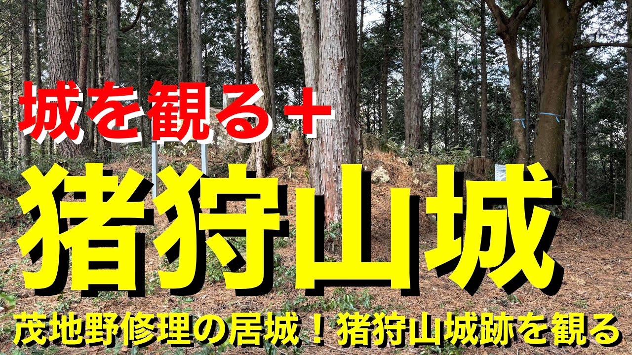 【城を観る＋】《猪狩山城（美濃国）》2026 〜茂地野修理の居城！猪狩山城跡を観る〜