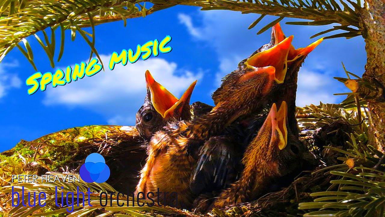 Spring Music 🌷🌞🌺  instrumental music for people in their mature years - animating and cheerful