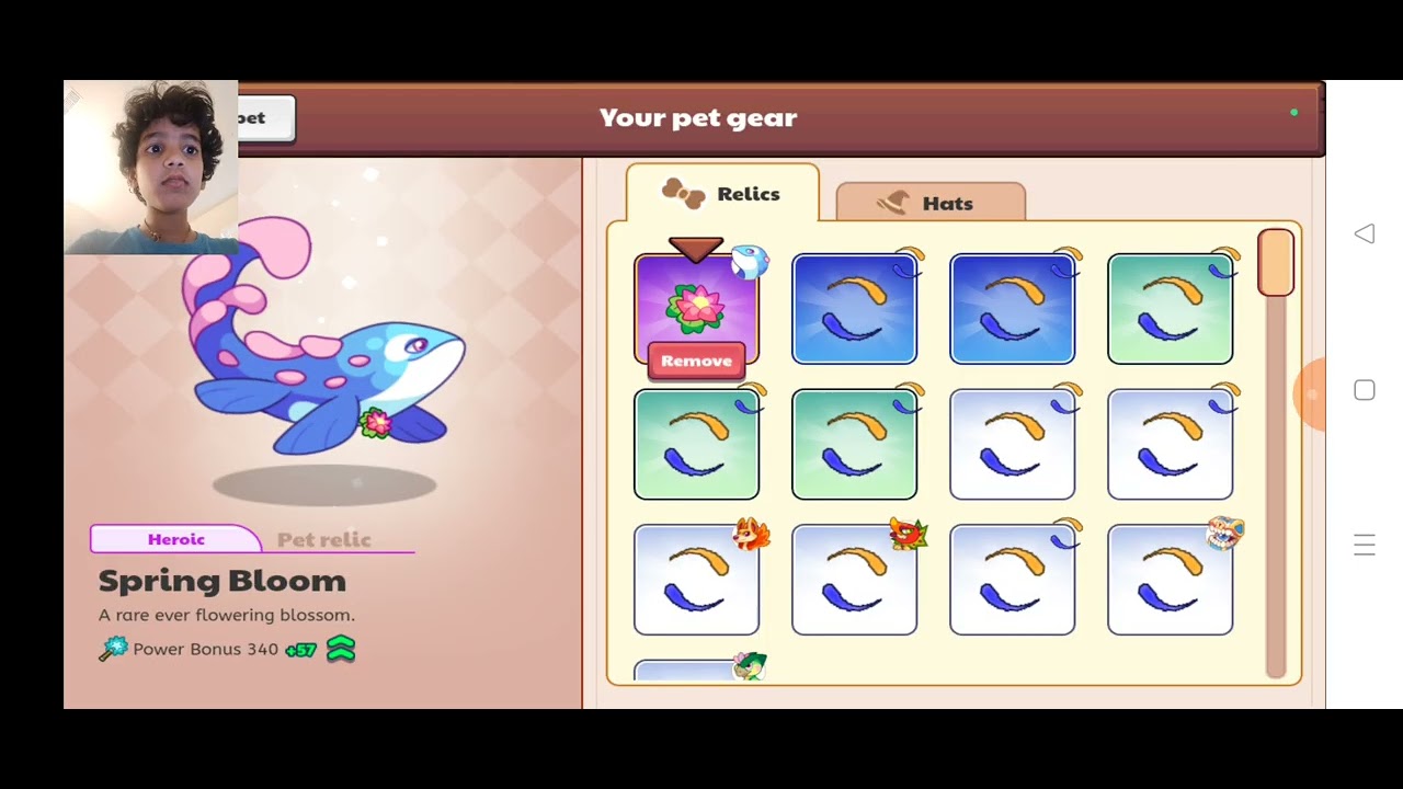pet gears prodigy math kids