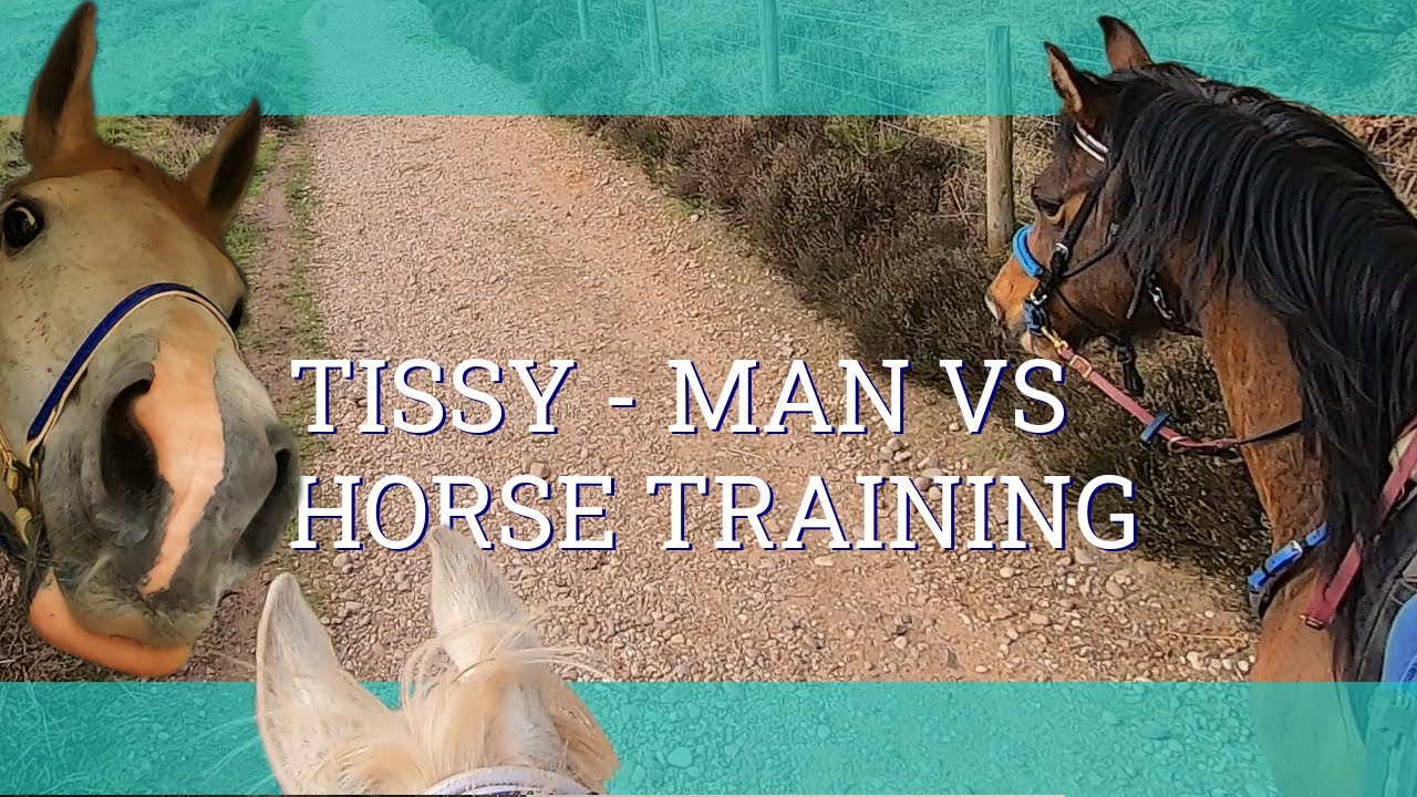 Man v Horse Training - Cannock Chase - Vlog 178 - Beth Endurance