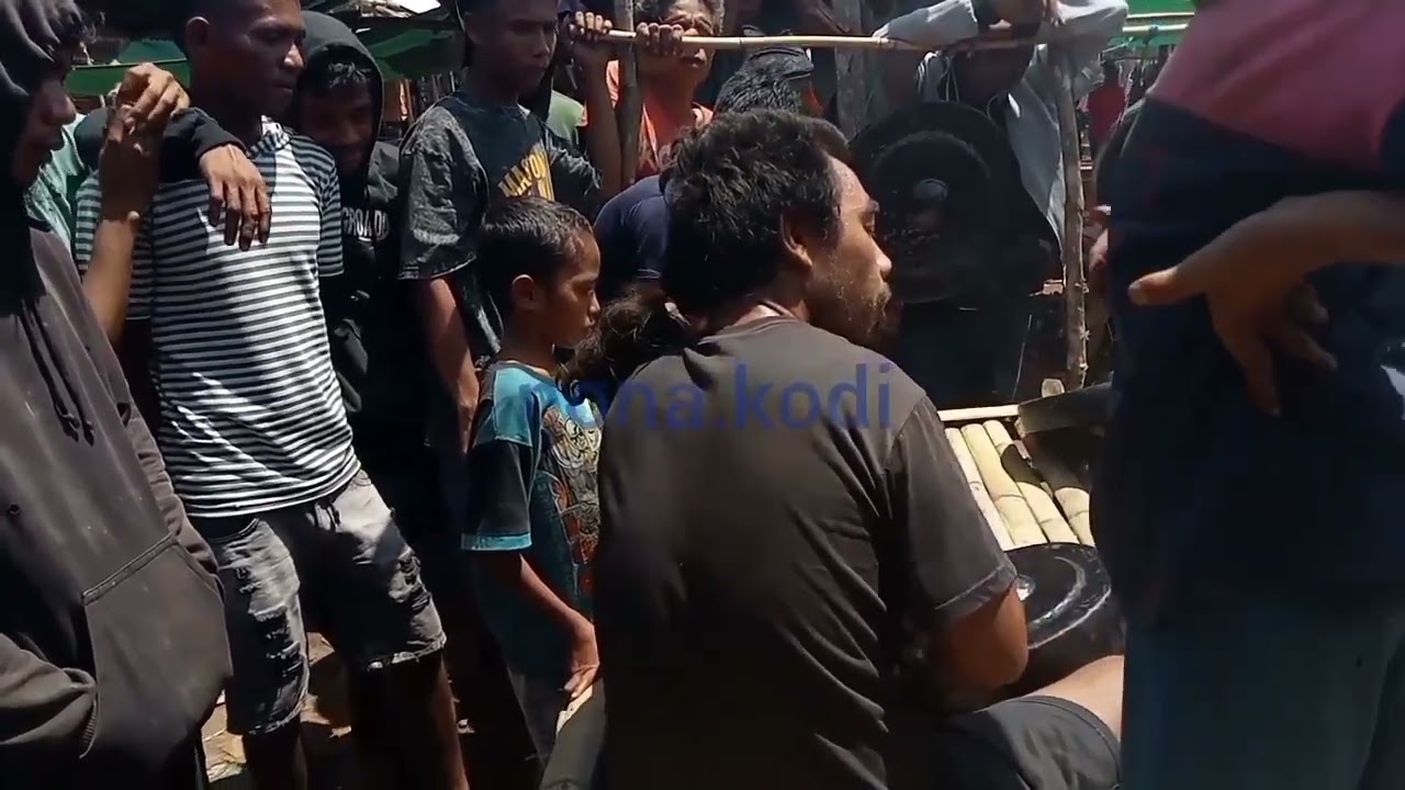 alat musik tradisional Sumba NTT