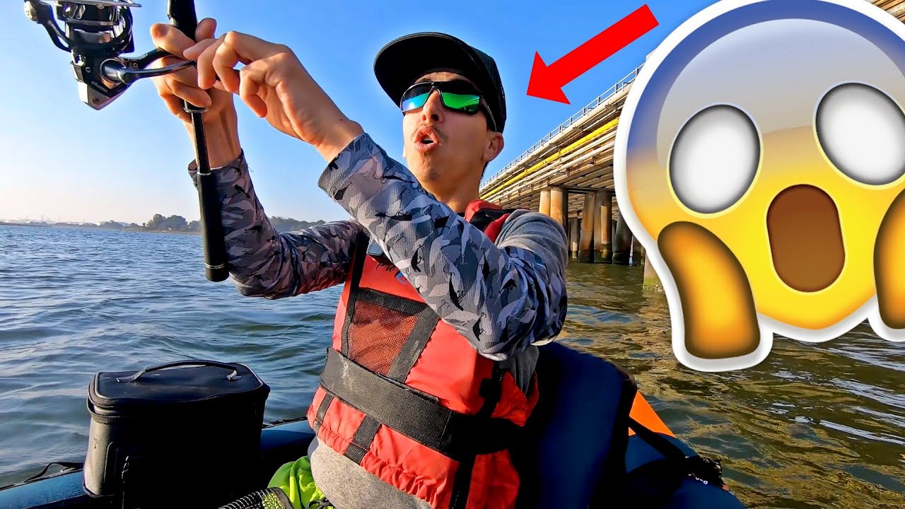¡¡LOCURA al AMANECER con ESTE VINILO!! Pesca a SPINNING BAJO PUENTE