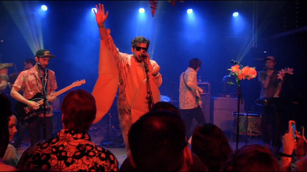 Future Talk (Live at Bell's Eccentric Cafe) - Joe Hertler & The Rainbow Seekers