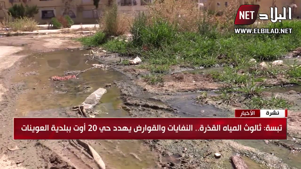 تبسة : ثالوث المياه القذرة ..النفايات و القوارض يهدد حي 20 اوت ببلدية العوينات