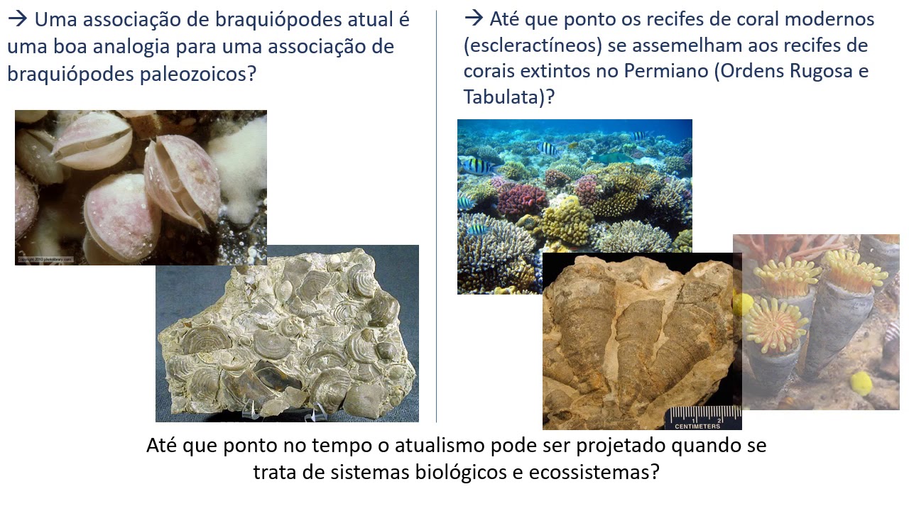 Aula 5 - Paleoecologia