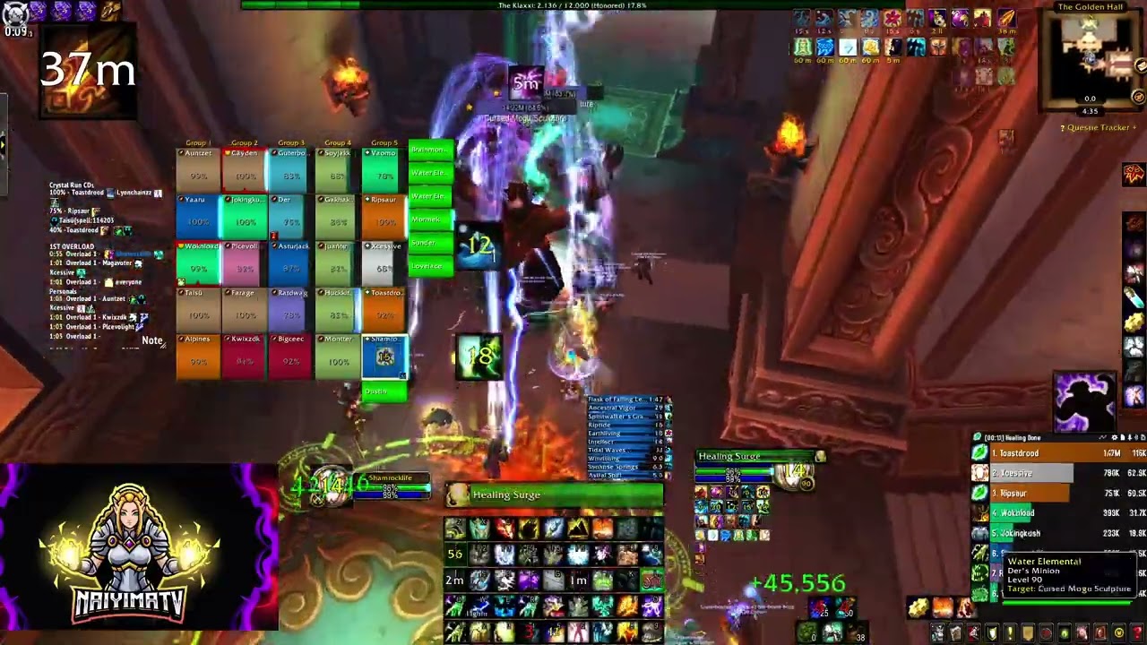 World 5th Blitz | MSV Split | MoP Classic (Resto Shaman POV)