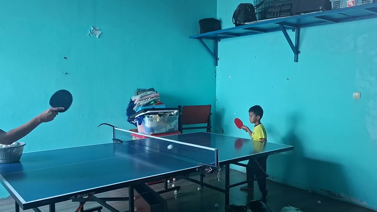 Forehand drive level warrior😃 (blade Stiga CR WRB Donic Acuda/Baracuda)