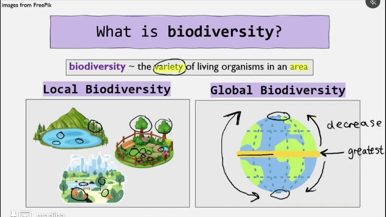 Biodiversity within a community | AQA | Student-led Masterclass