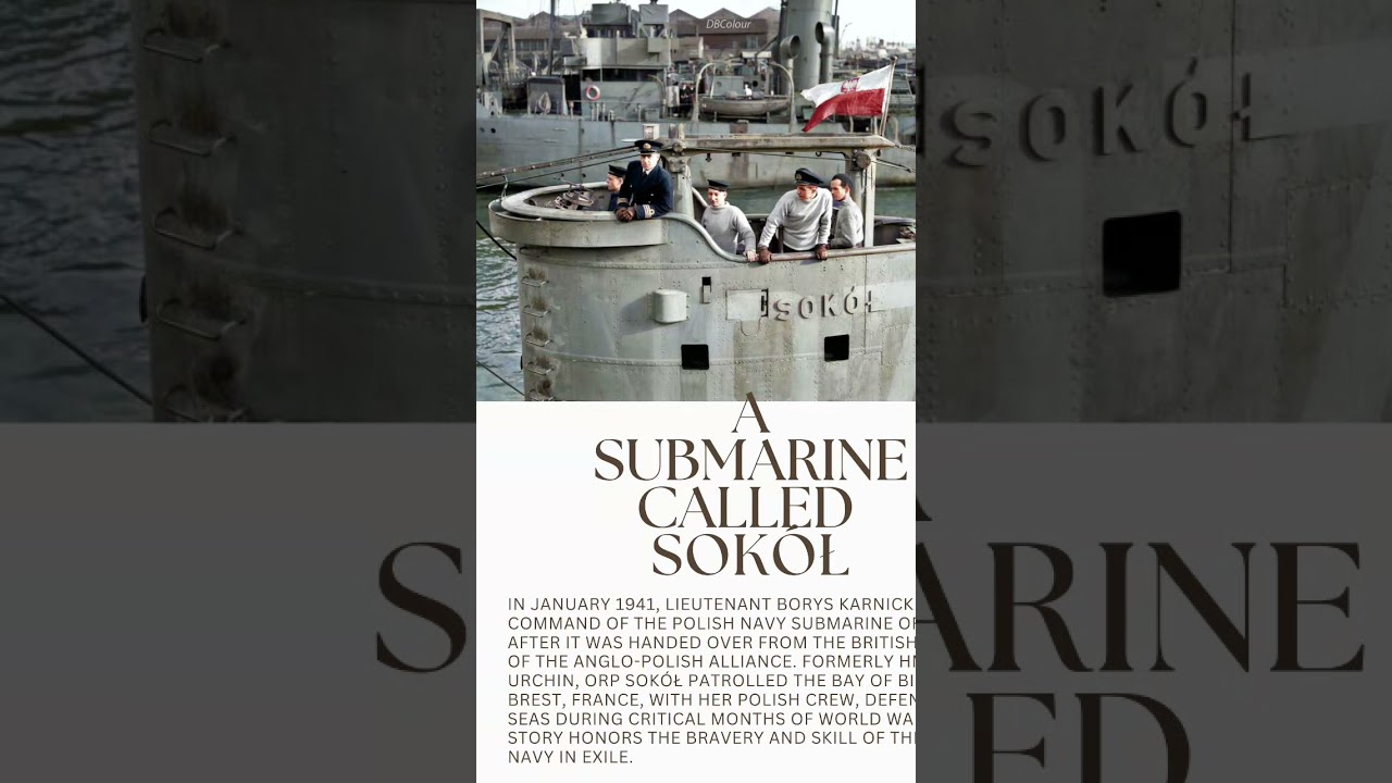 ORP Sokół: The Brave Polish Submarine in WWII ✅