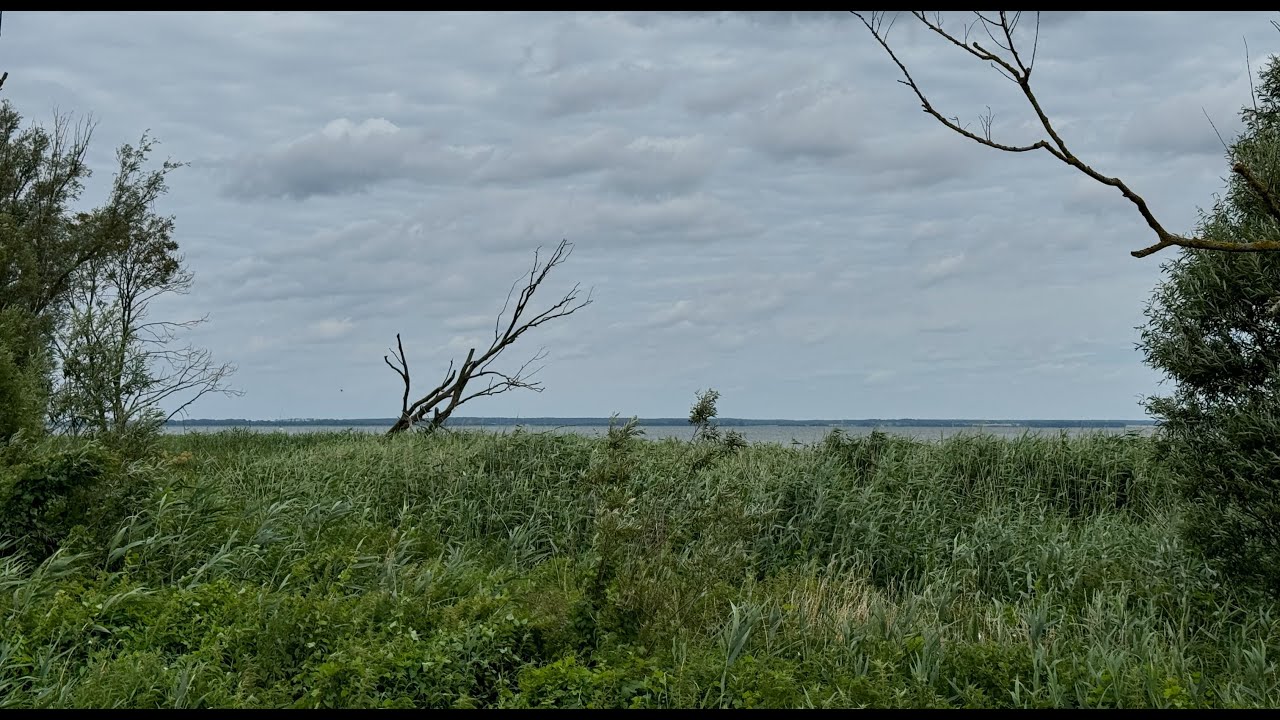 🇩🇪 Wanderung Nordwestrunde Mönkebude - Stettiner Haff