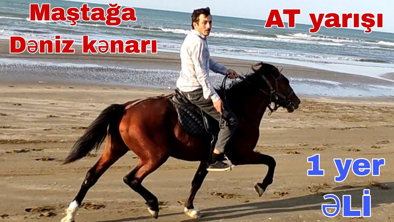 Maştağa Dəniz kənarı AT yarışı 9 oktyabr 2022 #at #atyarisi #atyarışı