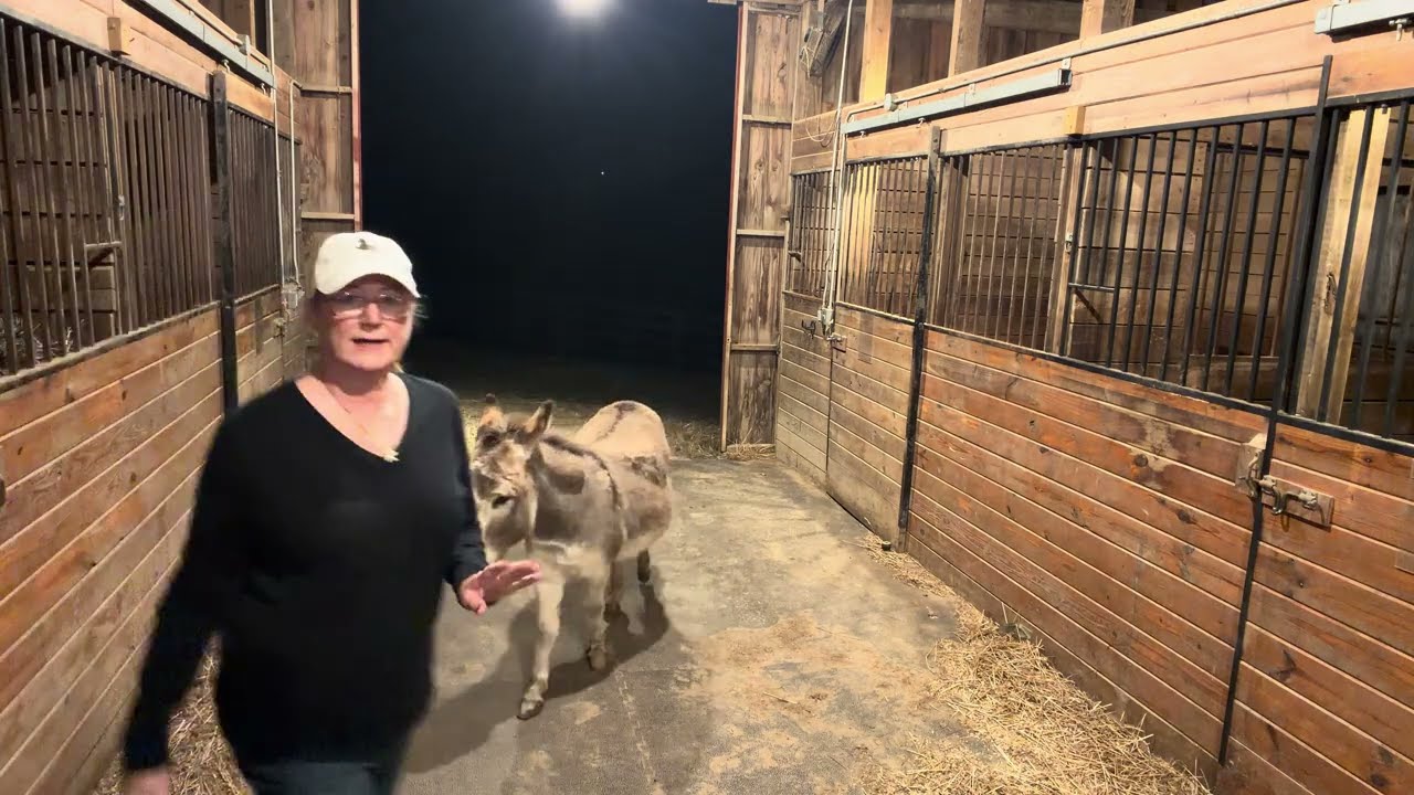 Time to feed the horses. Storms rolling in Sunday night. 