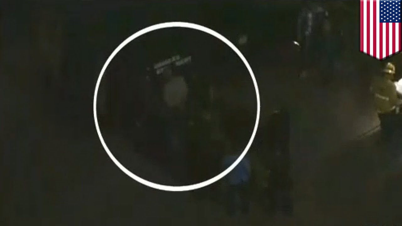 San Fernando Valley ‘Serial Killer’: LAPD accuse Alexander Hernandez of weeklong shooting spree