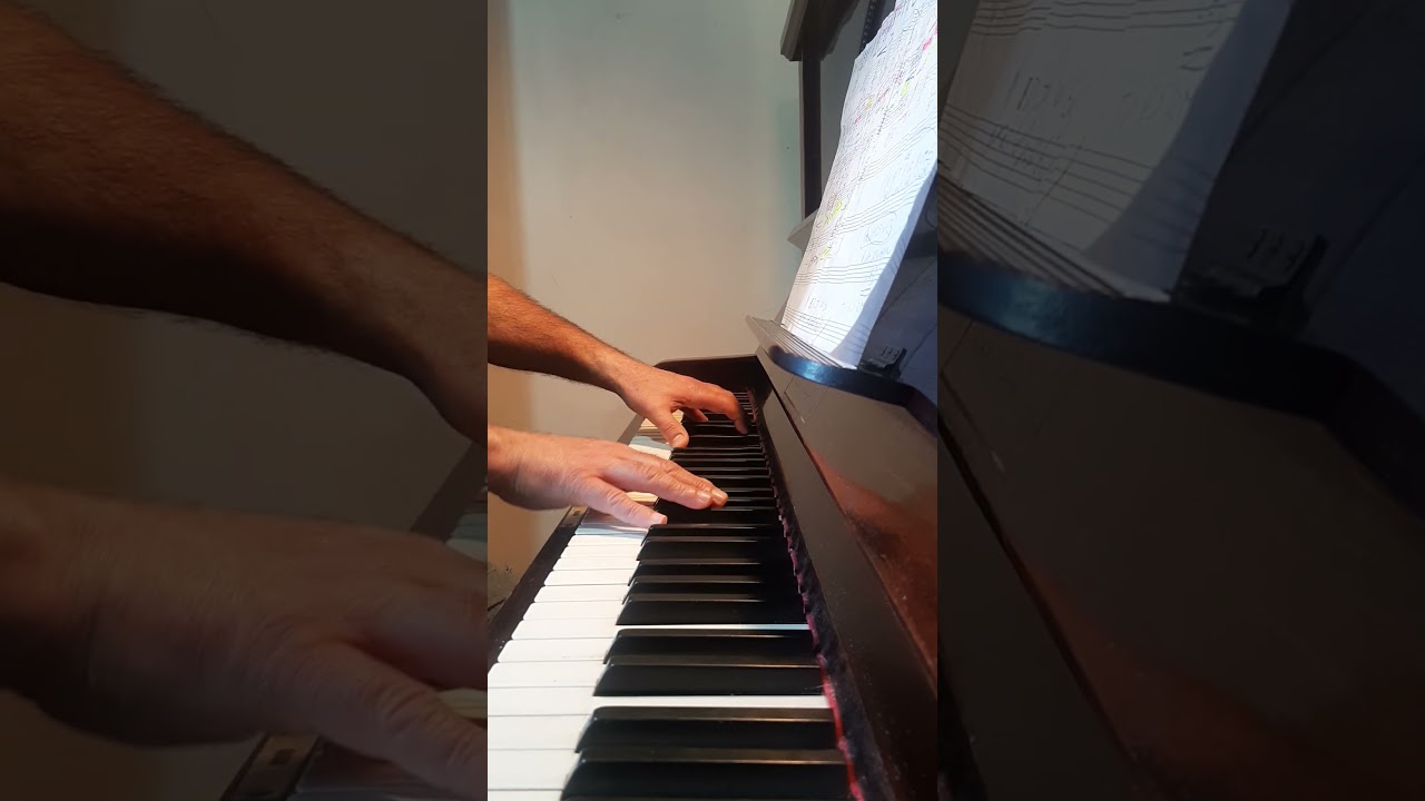 DU BIST EINE BLUME ( ROBERT SCHUMANN )