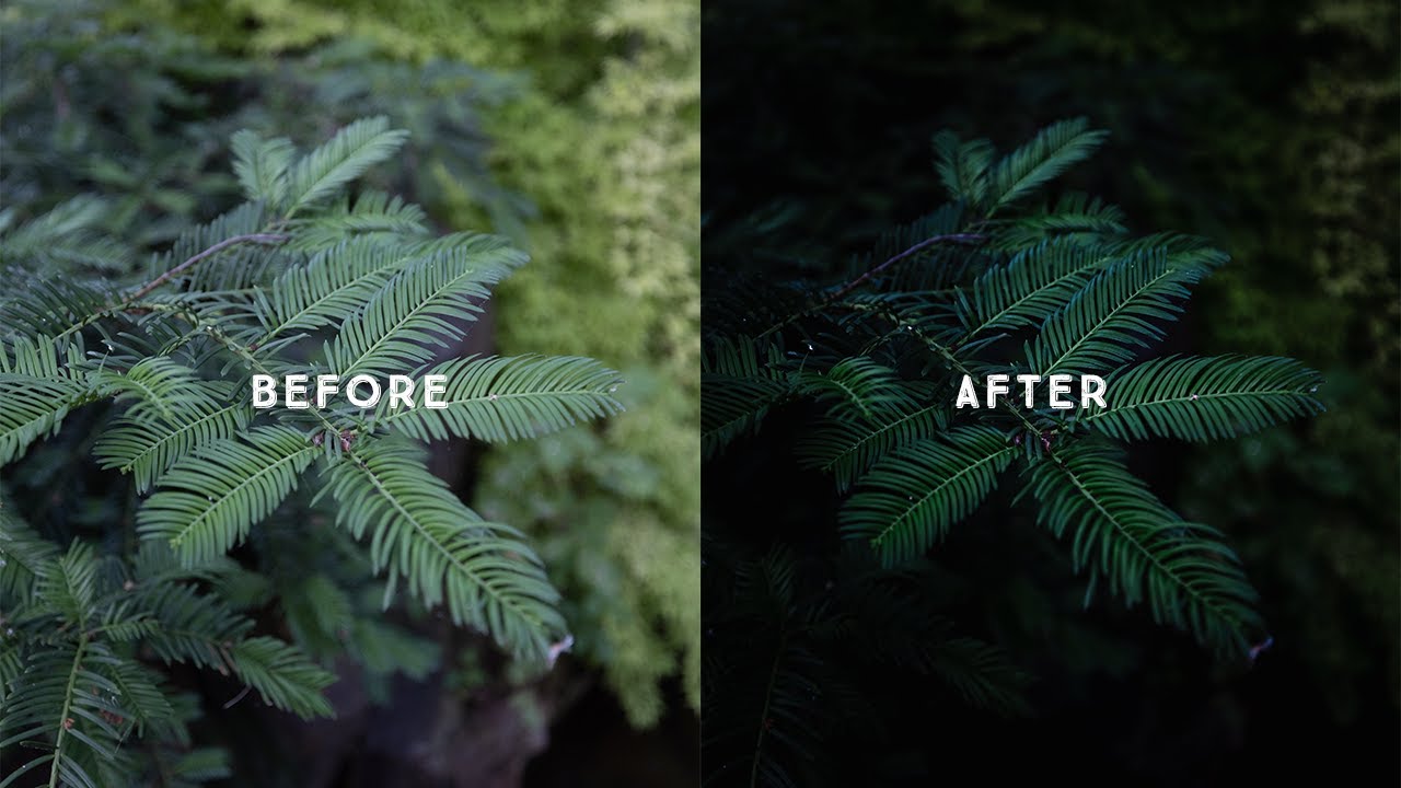 How to edit MOODY GREENS in Lightroom EASILY