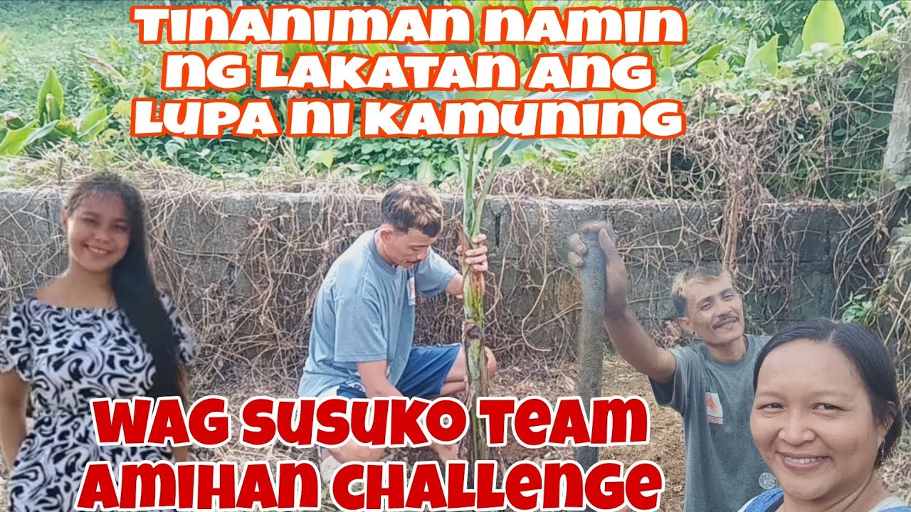 NAGTANIM KAMI NG  SAHA NG LAKATAN  SA LUPA NI KAMUNING@JoxMTV @JaperSniperOfficial 