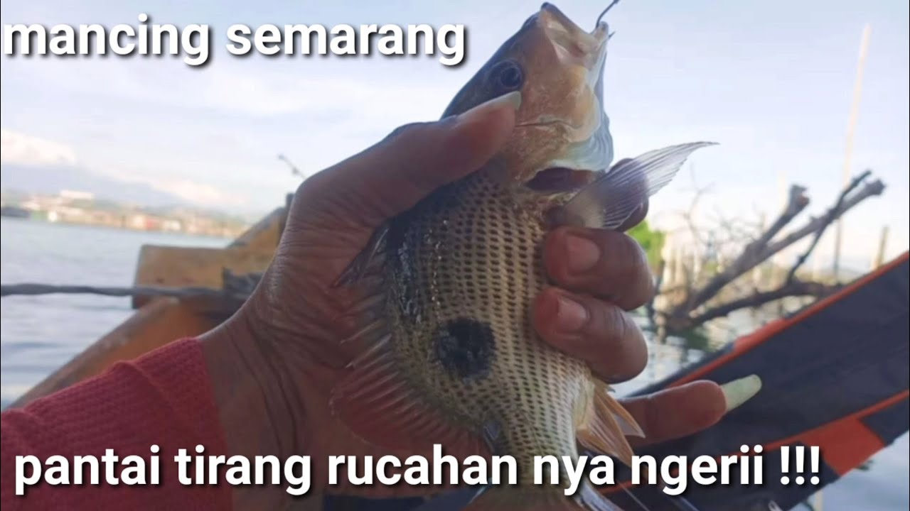 PANTAI TIRANG !! Mancing ikan rucah semarang || mancing semarang