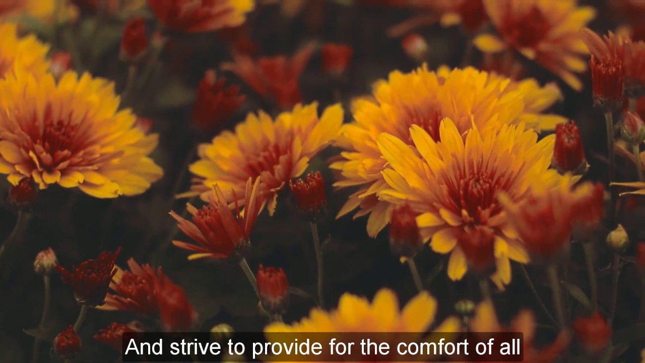 Be fair, be fair | Bahai Songs | Baha'i Faith
