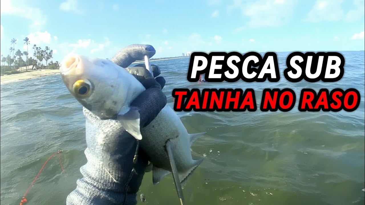 USE ESSE MÉTODO PARA PEGAR TAINHAS GRANDES NO RASO!! |CAUAN FISH 
