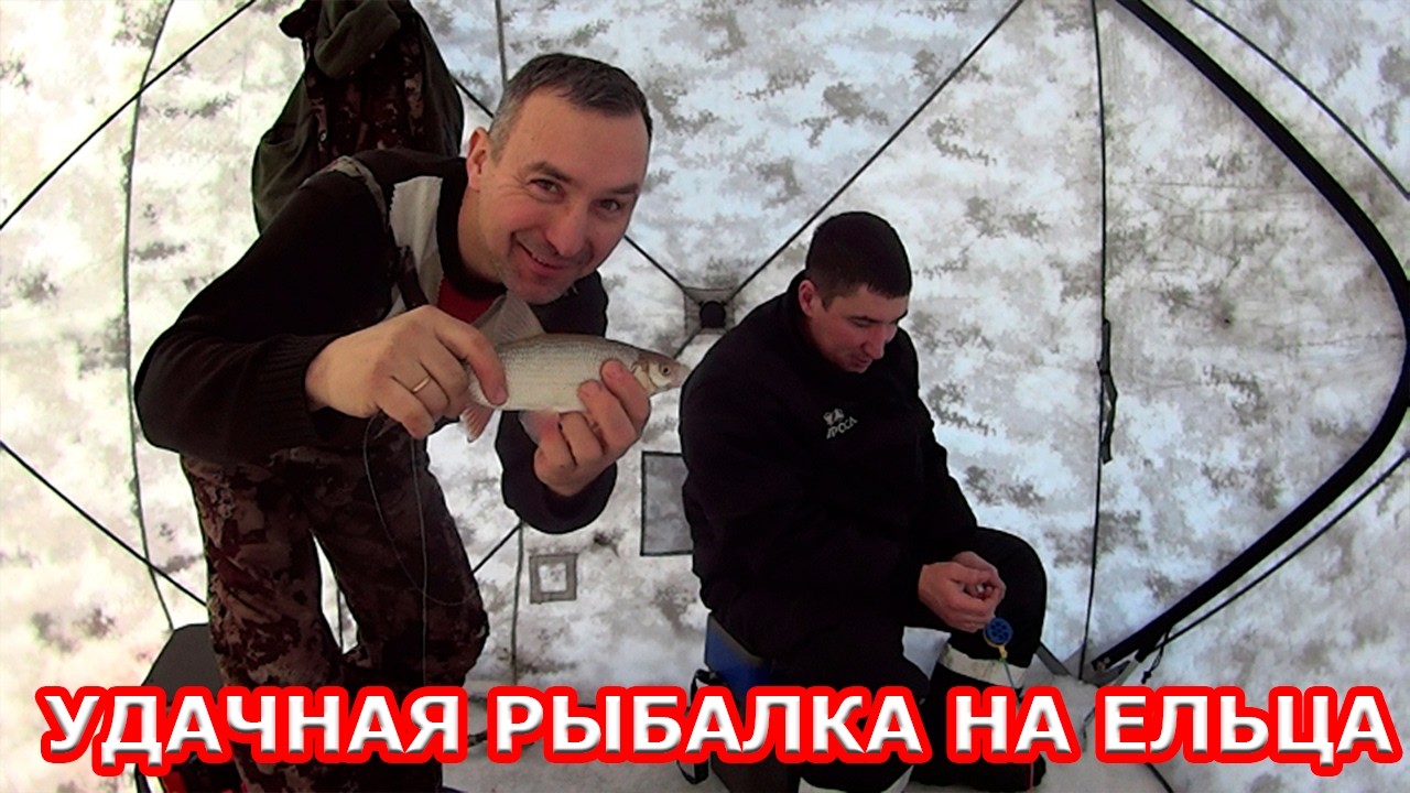 САМАЯ УДАЧНАЯ РЫБАЛКА НА ЕЛЬЦА.ФЕВРАЛЬ 2026