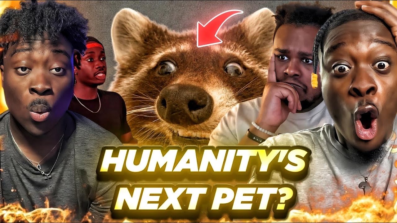 How Raccoons (Almost) Got Away With It REACTION