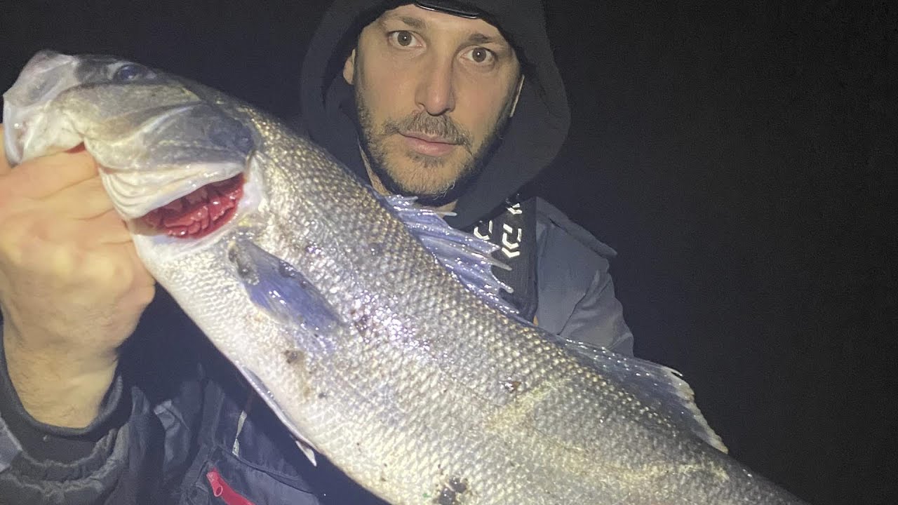 Spigole  in foce al Garigliano parte 2