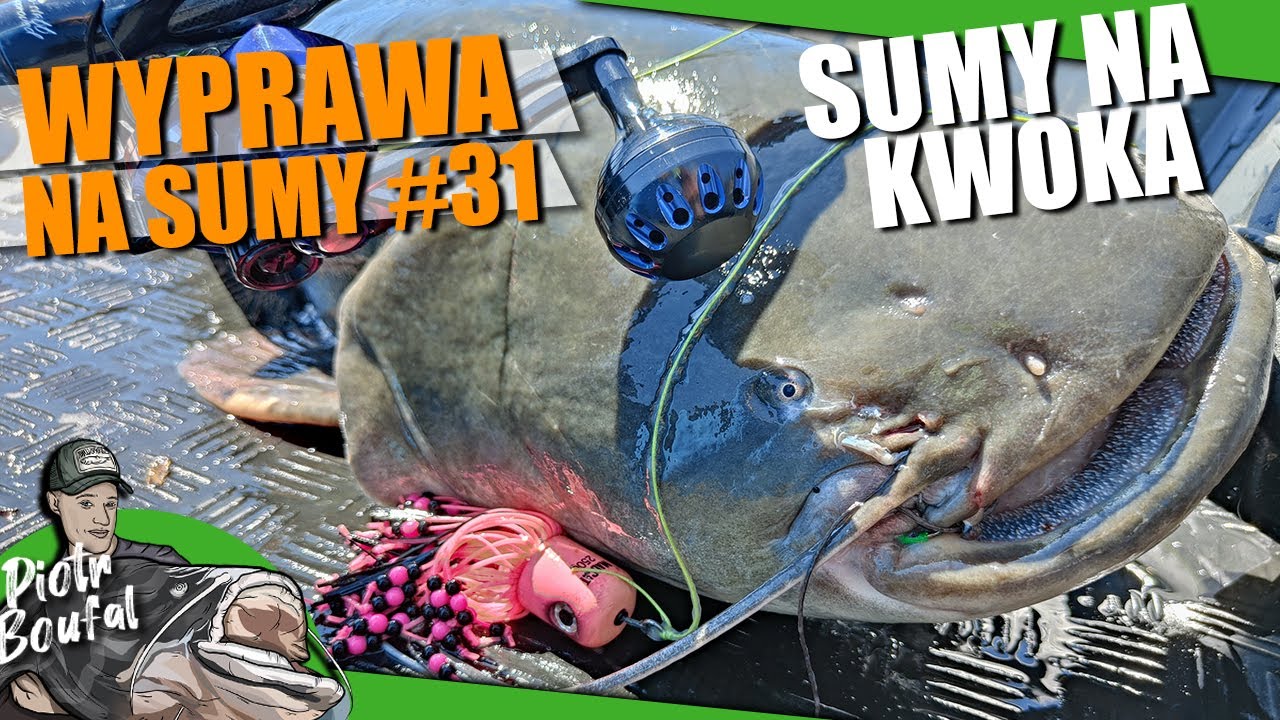 JAK ZŁOWIĆ SUMA na ros&oacute;wki? - CZYLI SUMY NA KWOKA / WYPRAWA NA SUMY #31