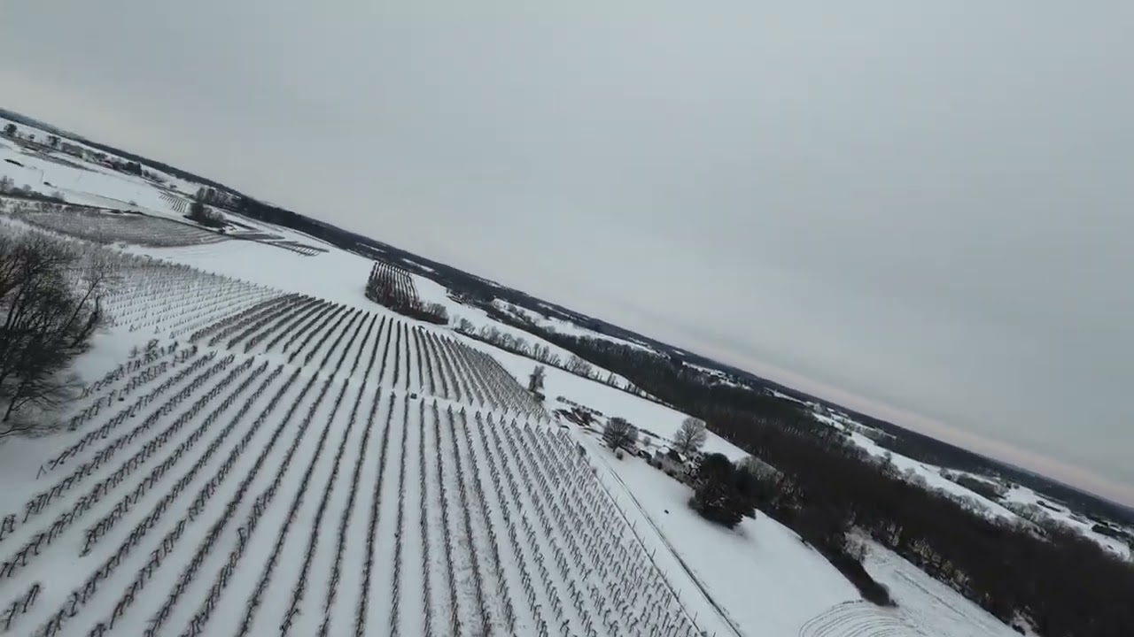 Shaws Orchard