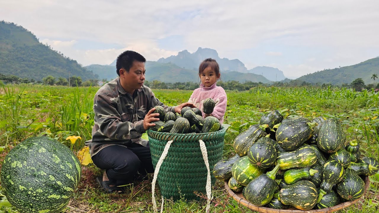 Harvesting pumpkin garden and bring it to the market sell-Caring forfarmed chickens and ducks.