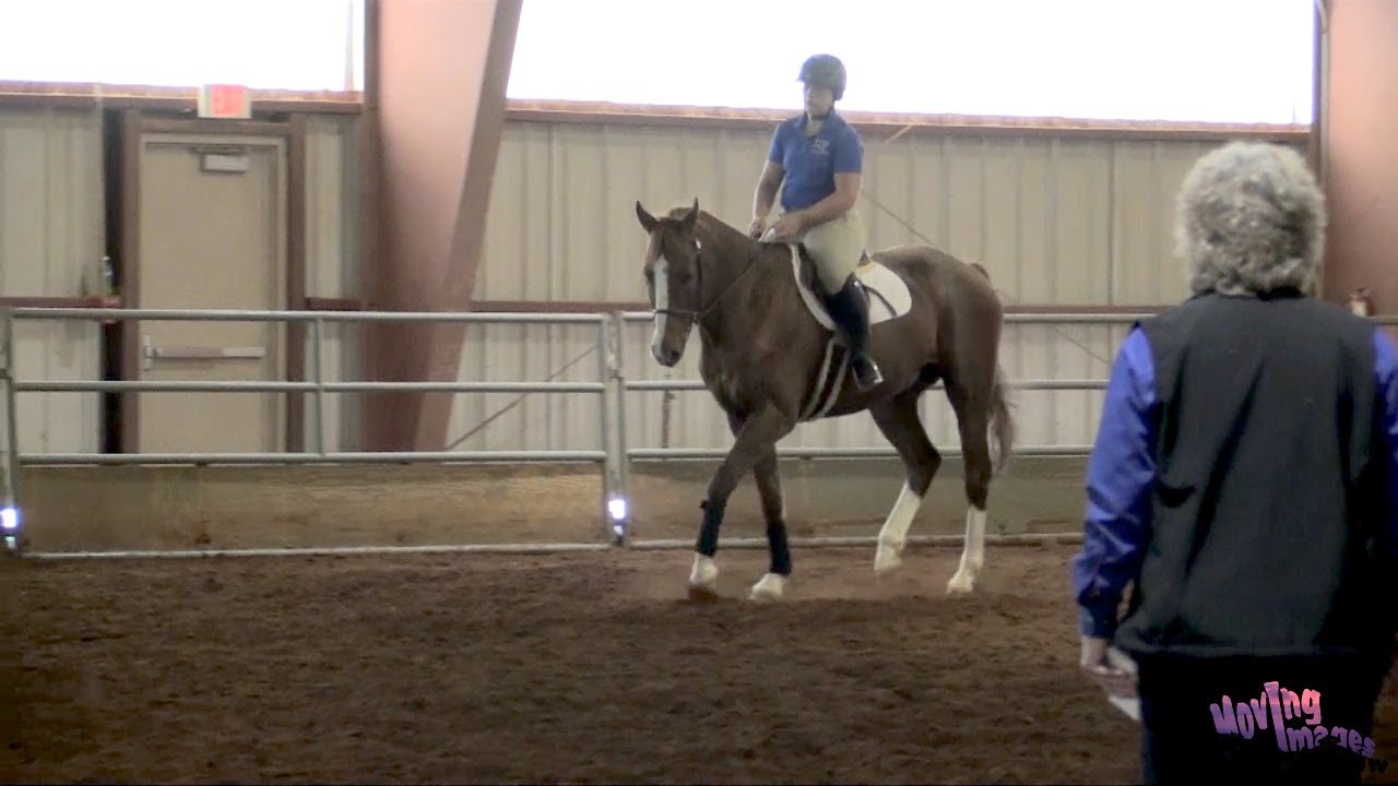 Lengthening and Shortening the Horse's Strides with Ann Brzezicki