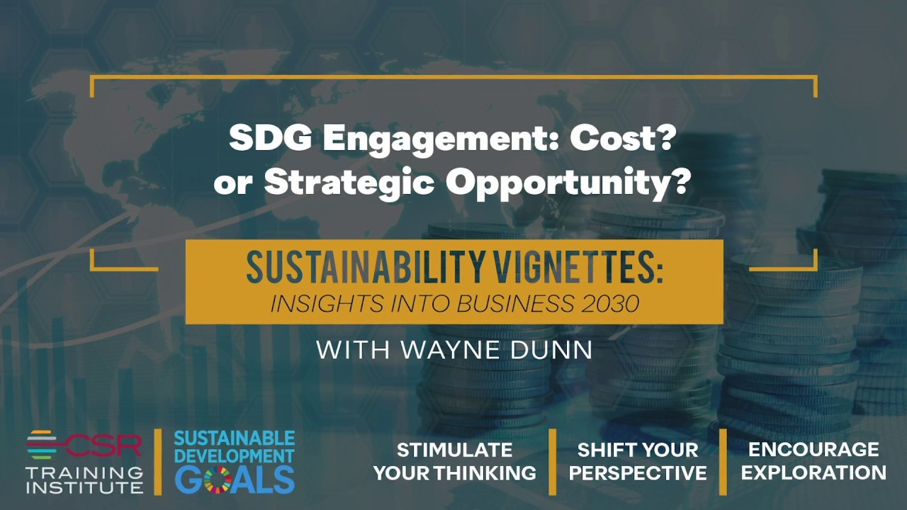 SDG Engagement Cost Or Strategic Opportunity