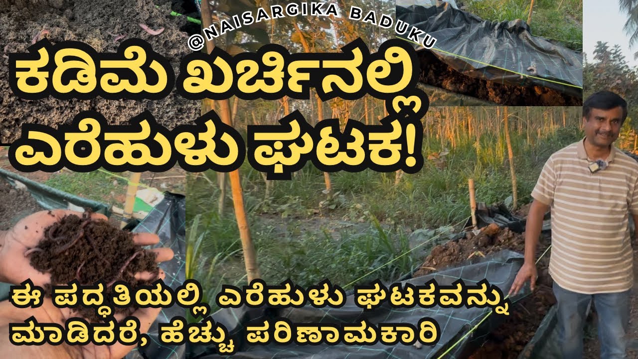 ಕಡಿಮೆ ಖರ್ಚಿನಲ್ಲಿ ಎರೆಹುಳು ಘಟಕ! #vermicompost #blackgold