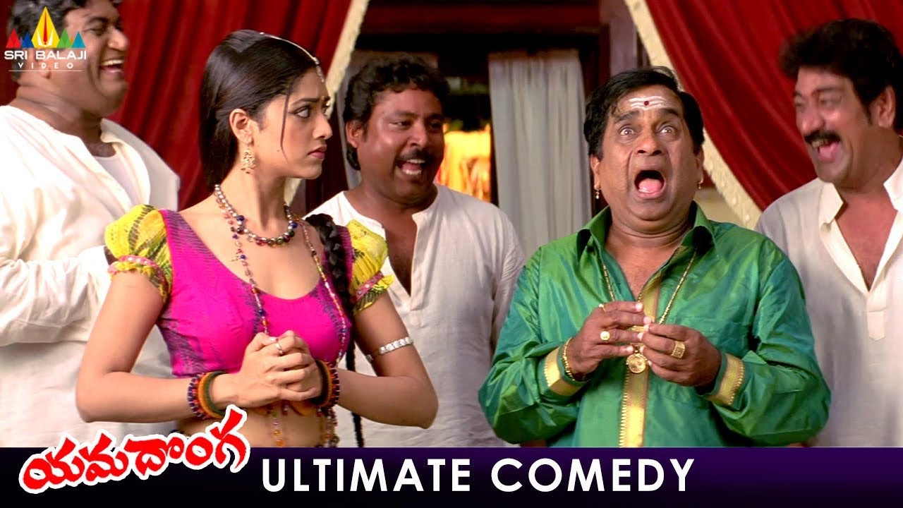 Brahmanandam & Mamta Mohandas Ultimate Comedy | Yamadonga Telugu Movie Scenes | Jr NTR, Rajamouli