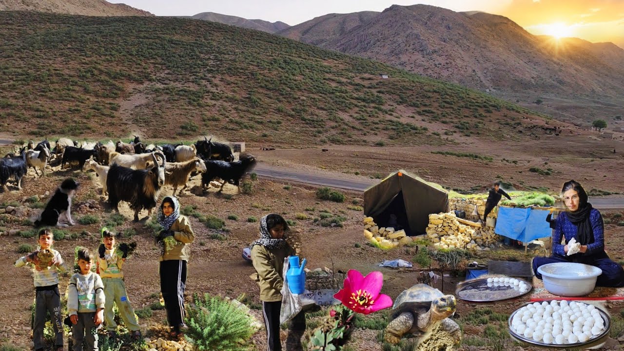 Secrets of Iranian Nomadic Life|Survival Challenge in the Mountains,Wild Plants & Real Nomadic Life 