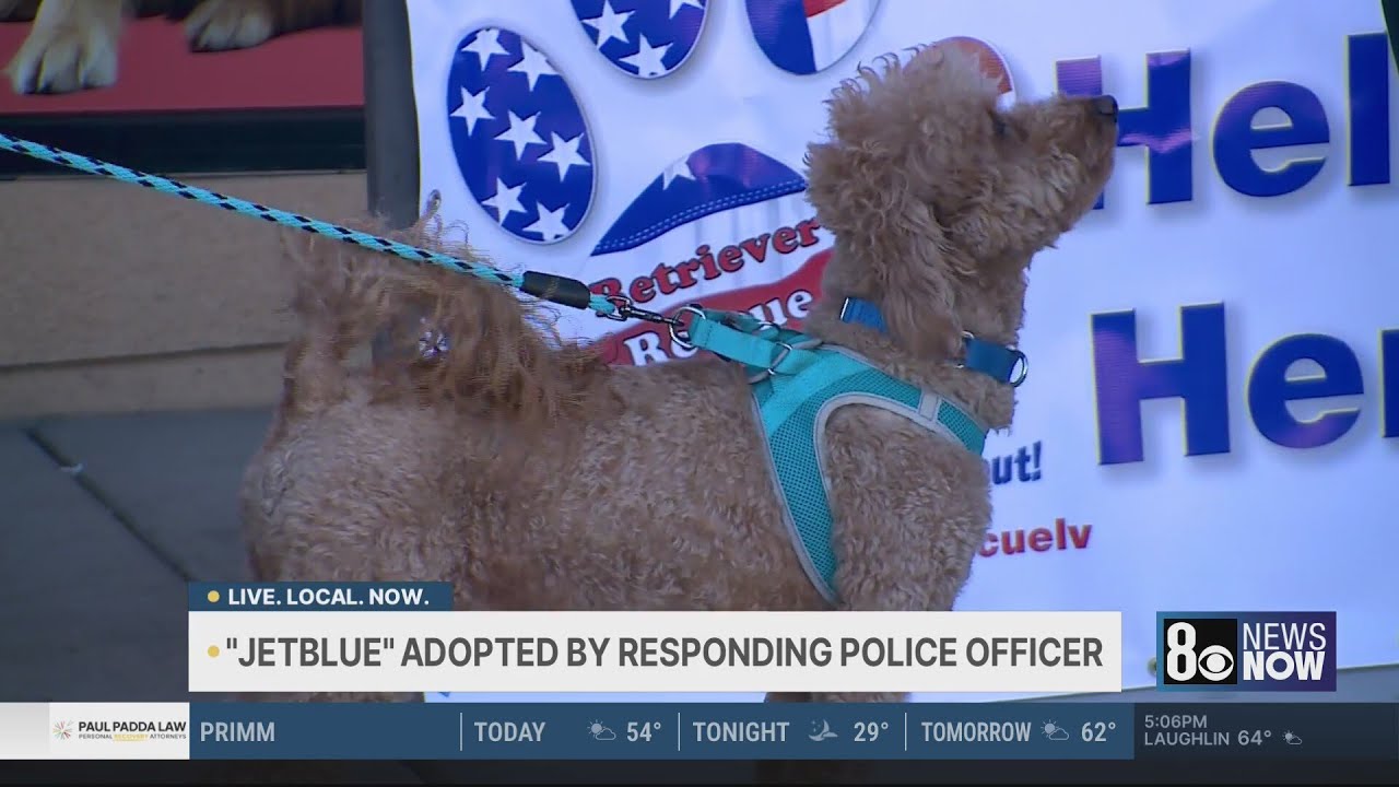 Meet the Las Vegas officer who adopted dog abandoned at Harry Reid Airport