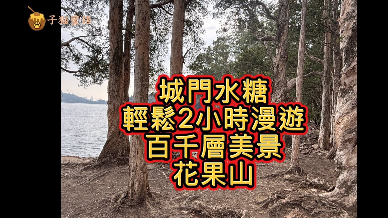 城門水塘 千層花果山美景