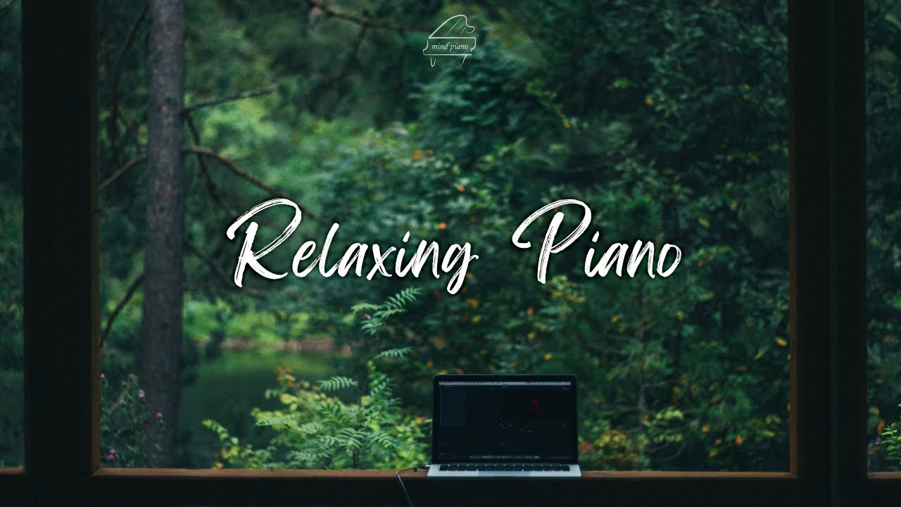 [Playlist]숲 공기🌿가득 마시며 일하기 |업무음악,공부음악,작업음악,집중할때듣는음악,독서음악 |