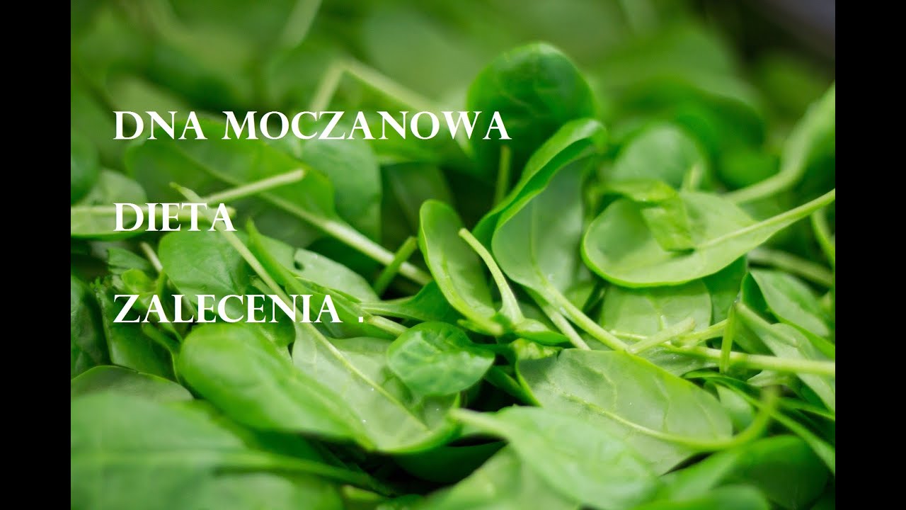 Dna moczanowa a dieta