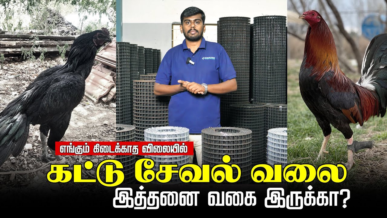 கட்டு சேவல் வலை வாங்குவதில் சந்தேகம் இருக்கா? கவலை வேண்டாம்...இந்தனை வகையான வலைகளும் ஒரே இடத்தில்!!