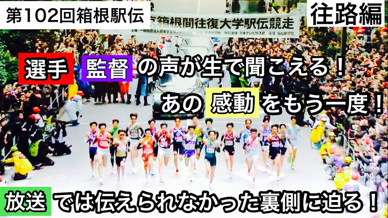 【箱根駅伝】第102回箱根駅伝『往路』の裏までお伝えいたします！#陸上#駅伝#箱根駅伝