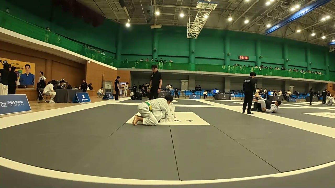 (4번 매트) 허닭 x 주짓수코리아.14 챔피온십 오후 경기 / Jiujitsukor Championship.14 (2026.02.28)