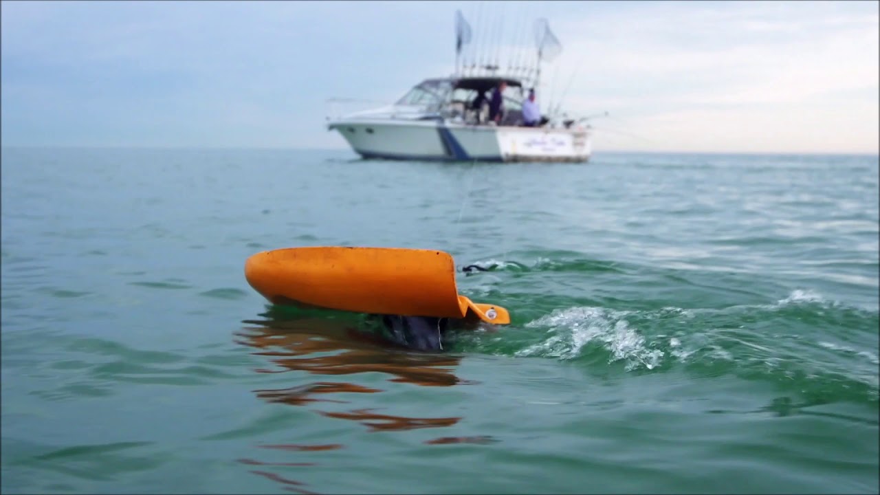 Crazy Yankee Sportfishing promotional video
