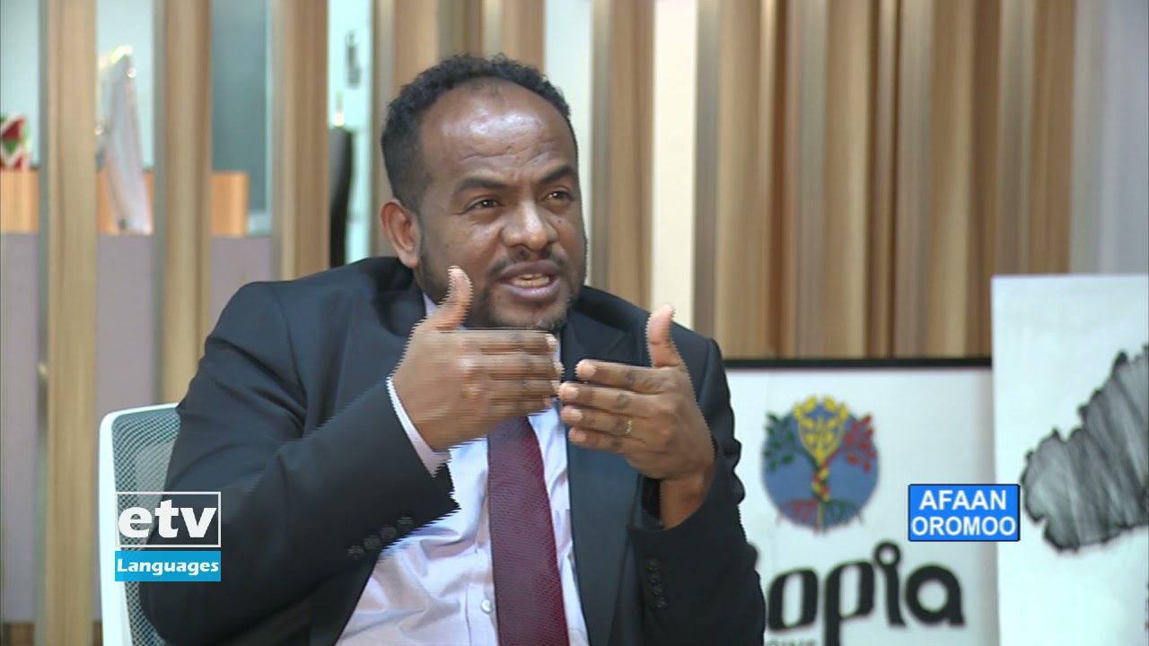 Marii carraawwanii fi Gufuuwwan Tuurizimii Oromiyaa Irratti Taasifame