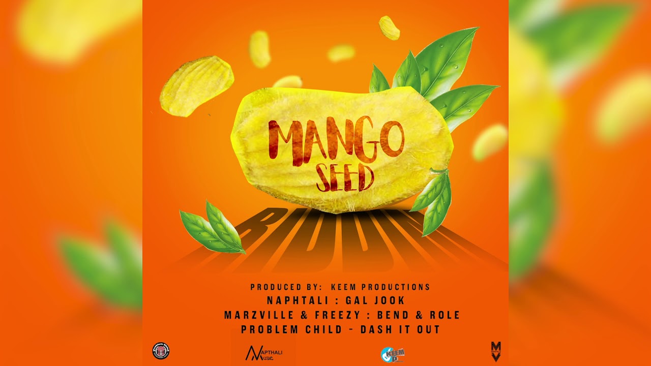 Problem Child - Dash It Out (Mango Seed Riddim) 