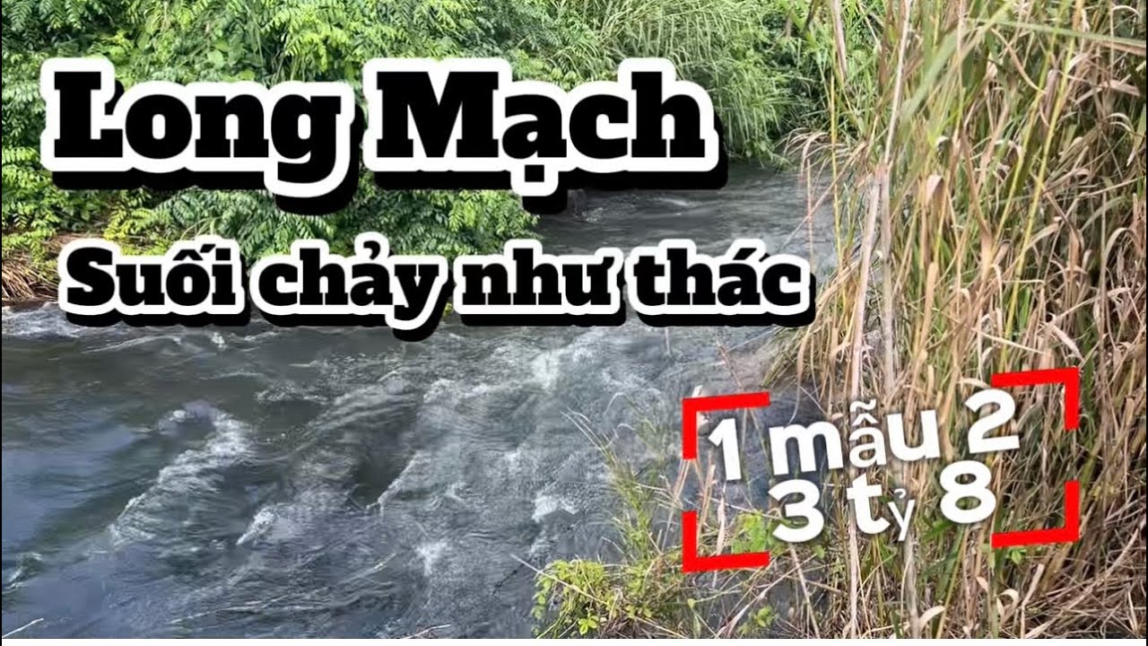 Suối Nước chảy Quanh năm , Long mạch. Thích hợp làm famstay ,... nghĩ dưỡng 1 mẫu 2 giá 3ty8