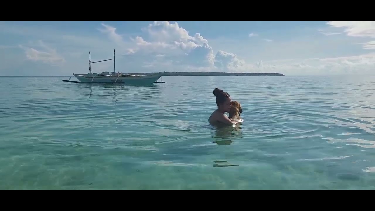 swimming with golden retriever in the ocean. #islandlife #bantayanislandcebu #philippines #adventure