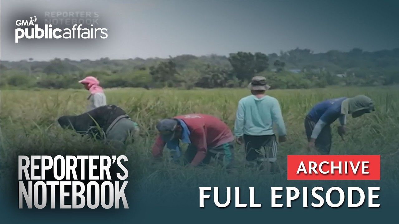 Mababang presyo ng palay, paano naapektuhan ang mga magsasaka? (Full Episode) | Reporter’s Notebook