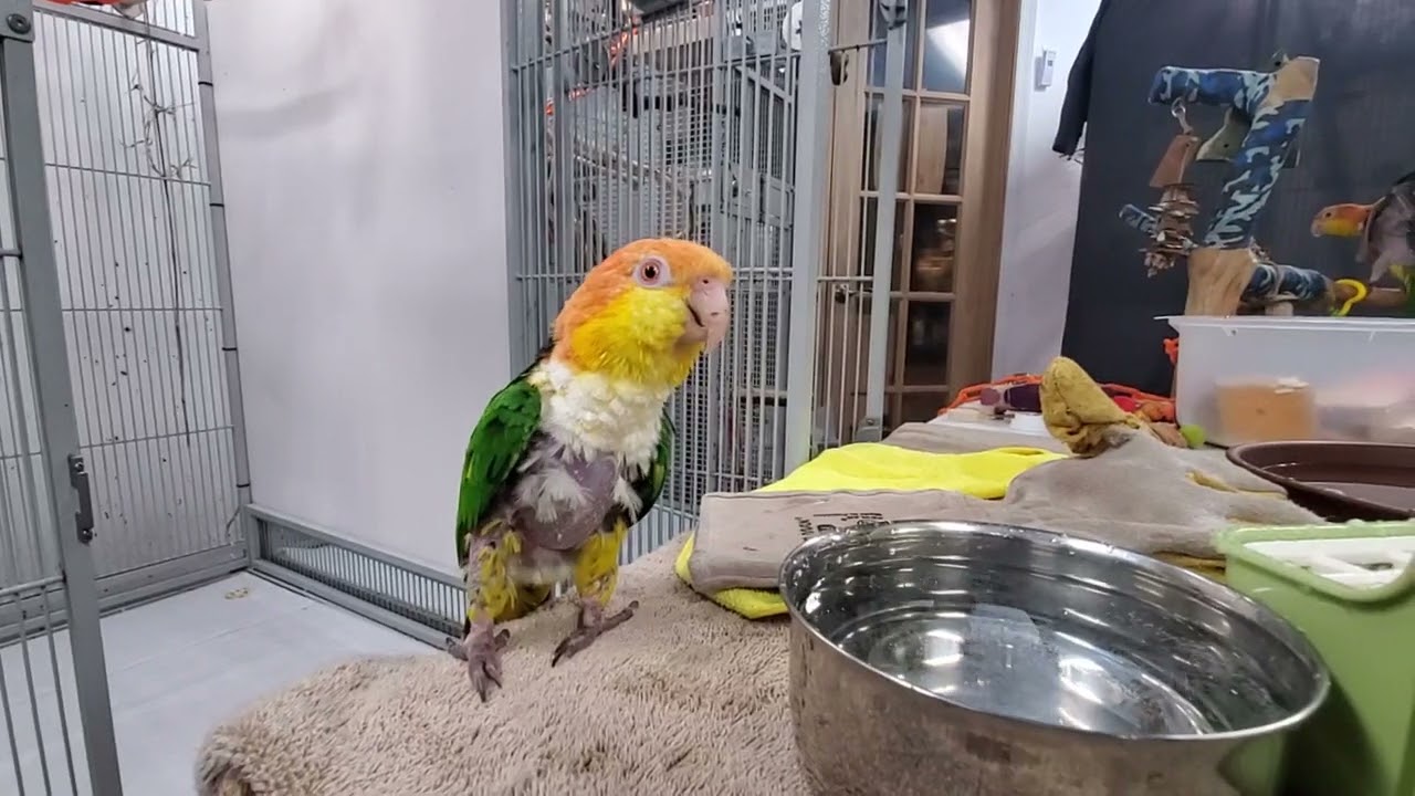 You know what's coming....it's that time again!!!